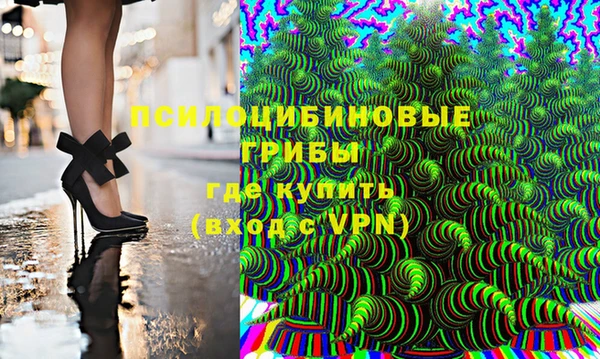 кокс Алексин