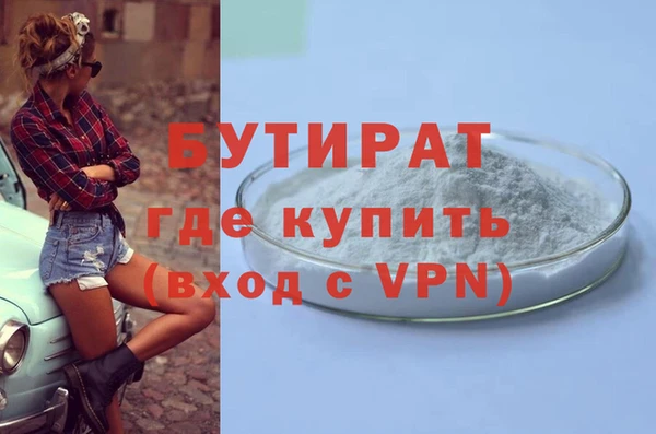 шишки Няндома