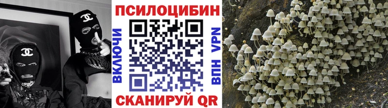 купить Петрозаводск Галлюциногенные грибы прущие грибы