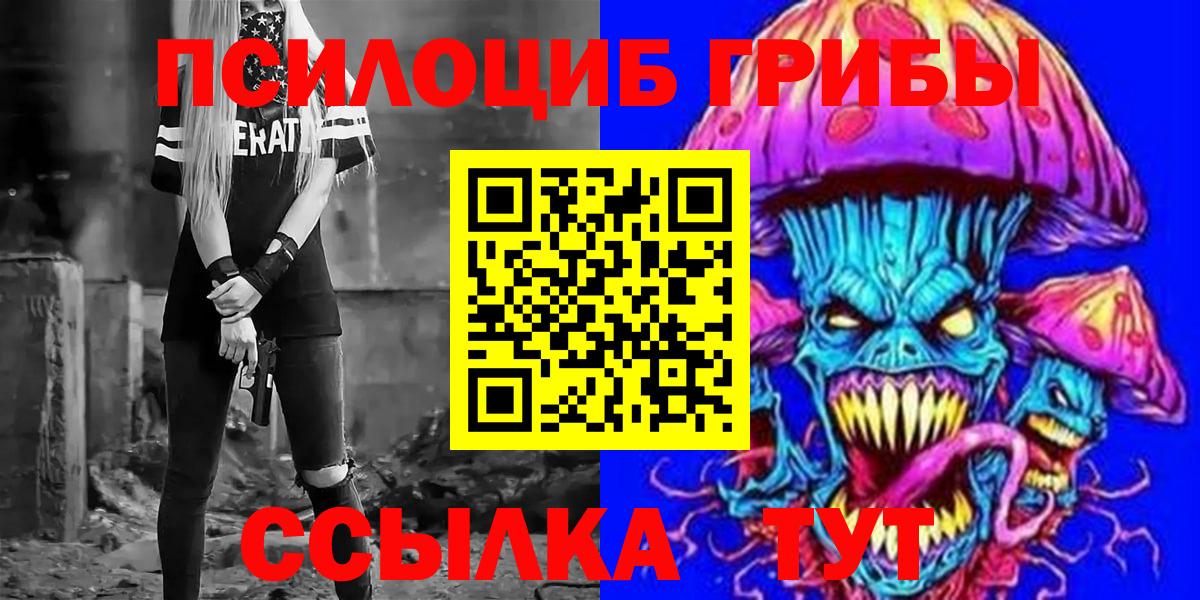 Галлюциногенные грибы Psilocybine cubensis Петрозаводск