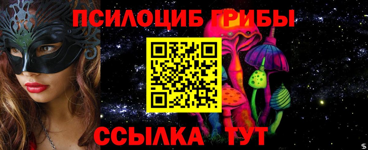 Петрозаводск  Псилоцибиновые грибы Magic Shrooms  где купить наркоту  Вход с VPN  Галлюциногенные грибы мицелий 